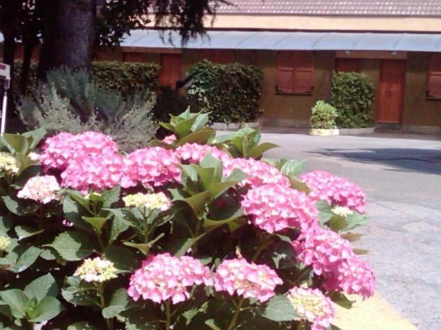 Hotel Motel Ovest Виттуоне Экстерьер фото